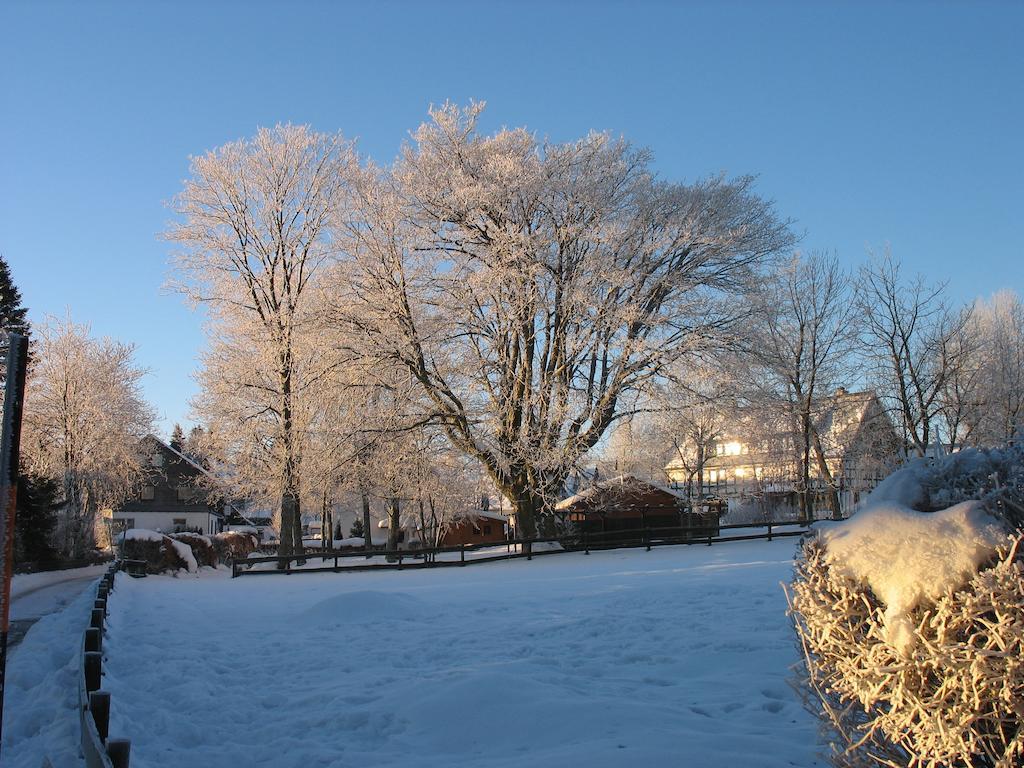 Ferienwohnungen Landgasthof Gilsbach Winterberg Bagian luar foto